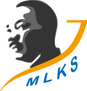 Martin-Luther-King-Schule